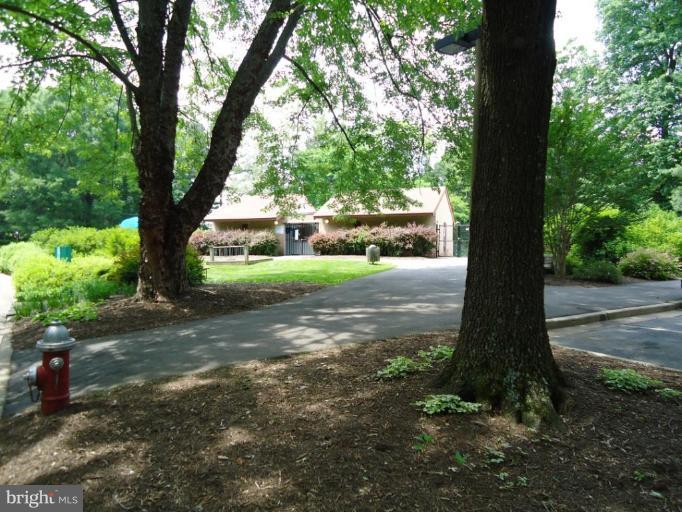 2141 Golf Course Drive Reston, VA 20191 - Photo 24 of 26 a view of backyard with large trees and plants