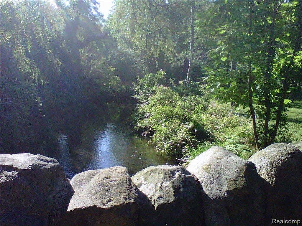 IMG00044-20110817-0936.jpg