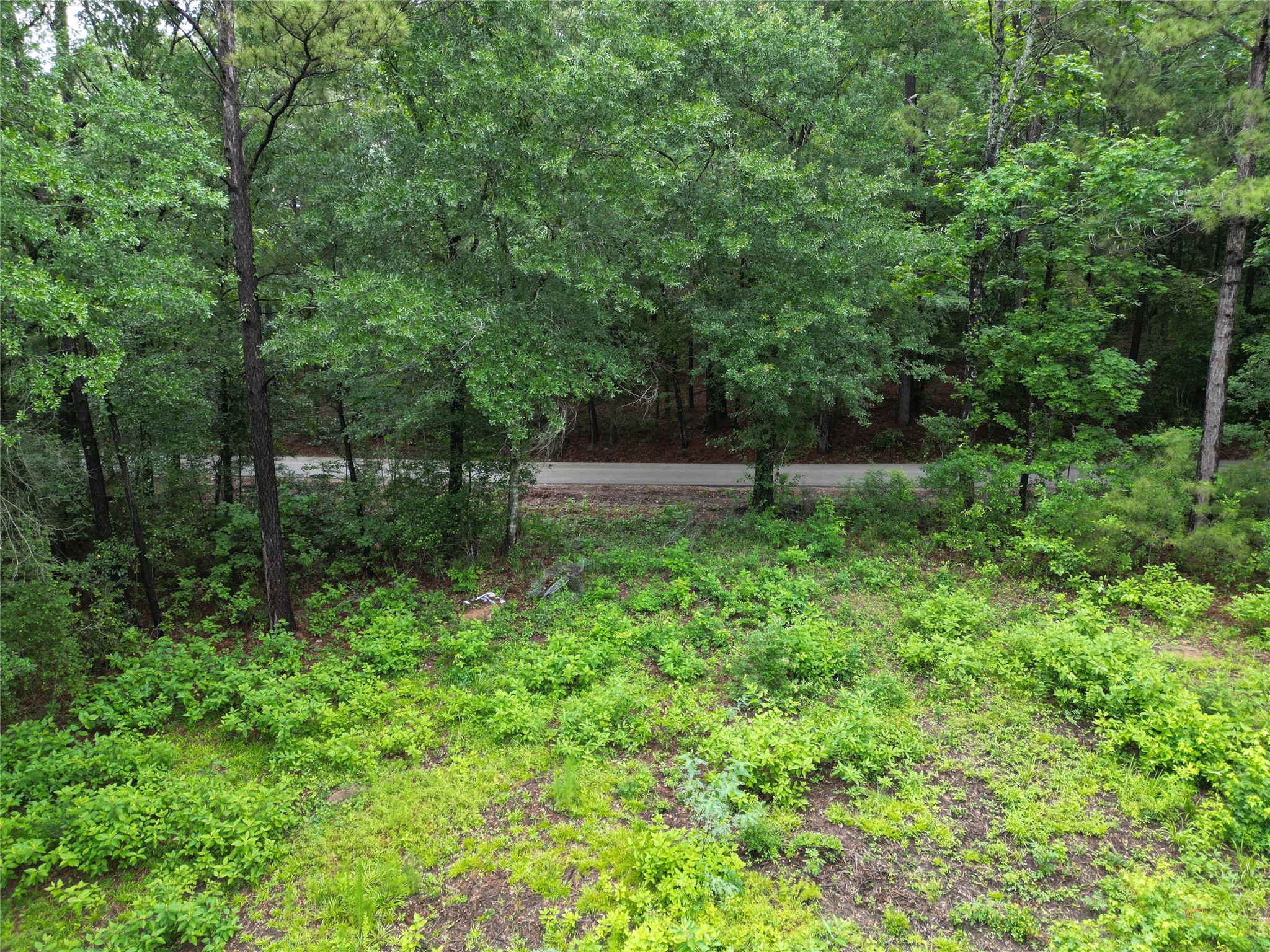268 Cedar Valley Road Coldspring, TX 77331 - Photo 7 of 29
