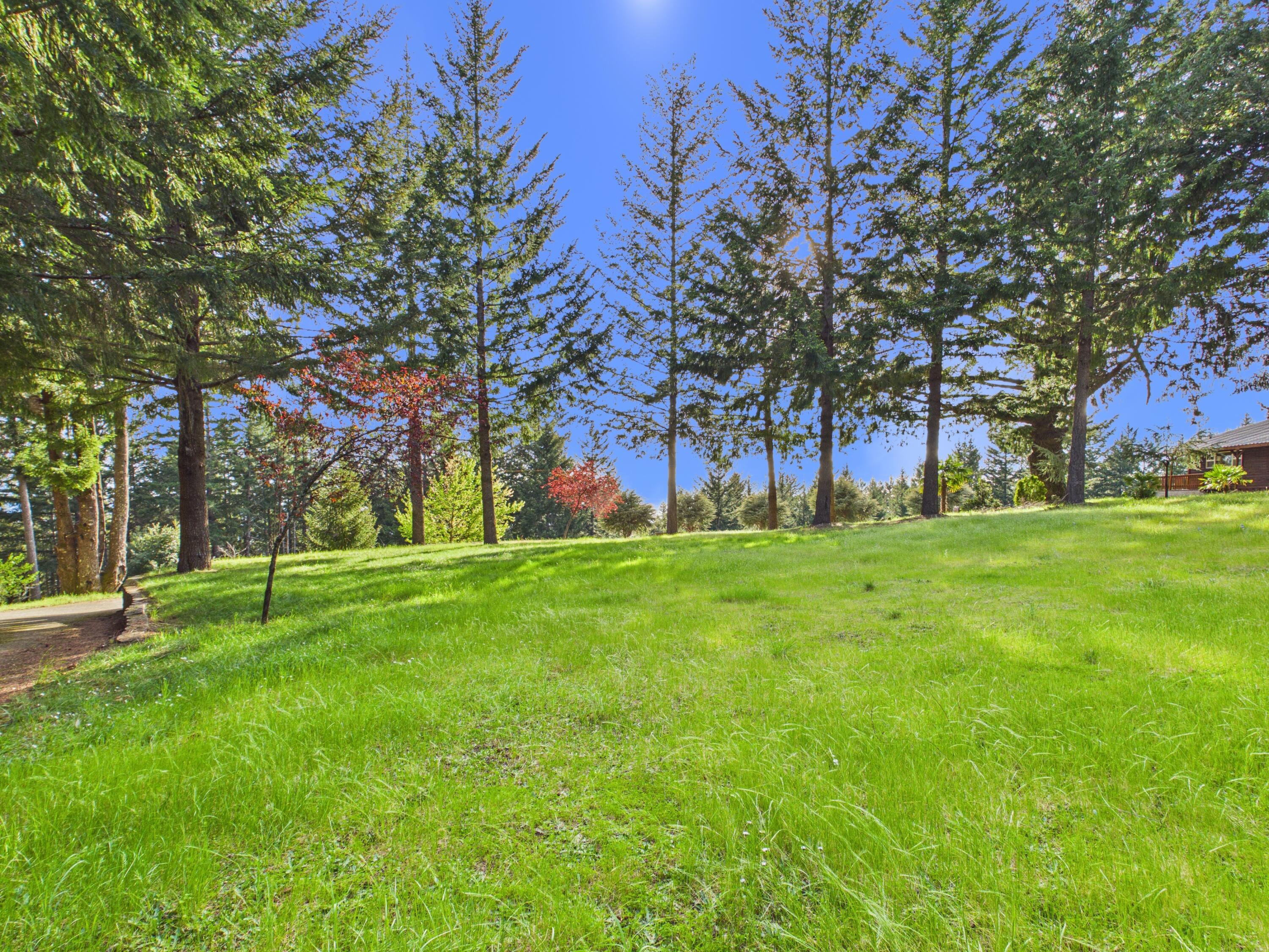 0 Fisher Road Petrolia, CA 95545 - Photo 79 of 96