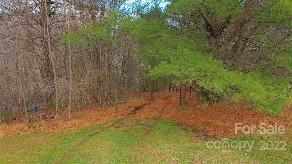 Tbd Silo Road Sparta, NC 28675 - Photo 2 of 16 Gallery Image 2