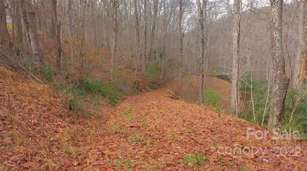 Tbd Silo Road Sparta, NC 28675 - Photo 4 of 16 Gallery Image 4