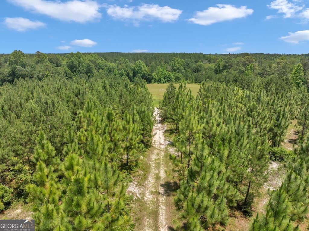 0 Archers Pond/smith Road Adrian, GA 31002 - Photo 1 of 1 Main View