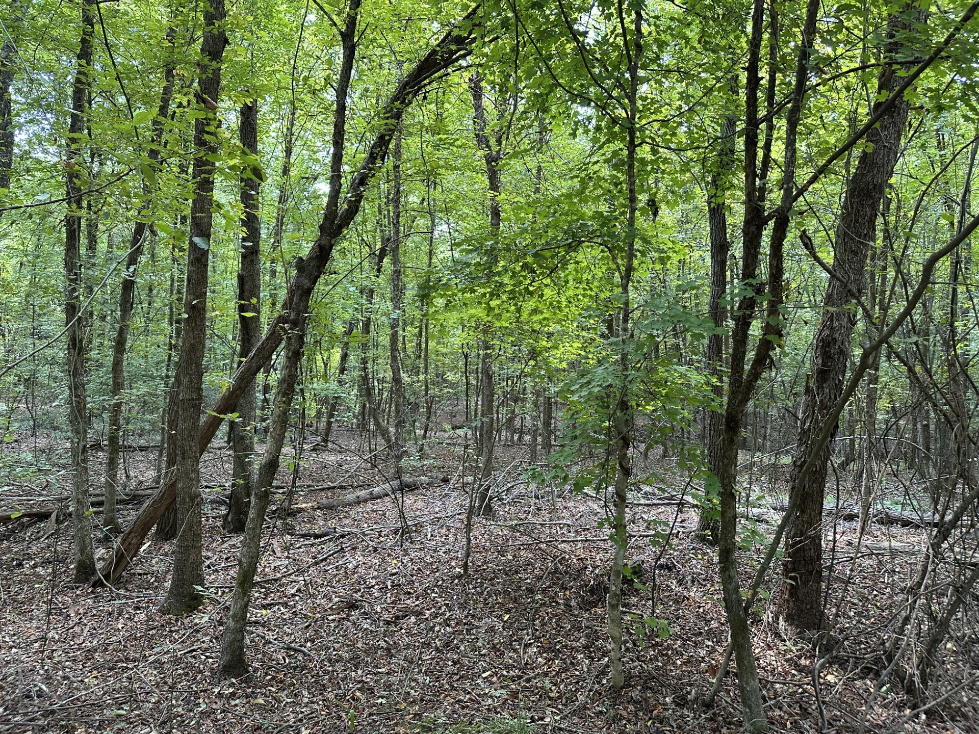 0 N/a Rusk, TX 75785 - Photo 3 of 10 a view of outdoor space and green space