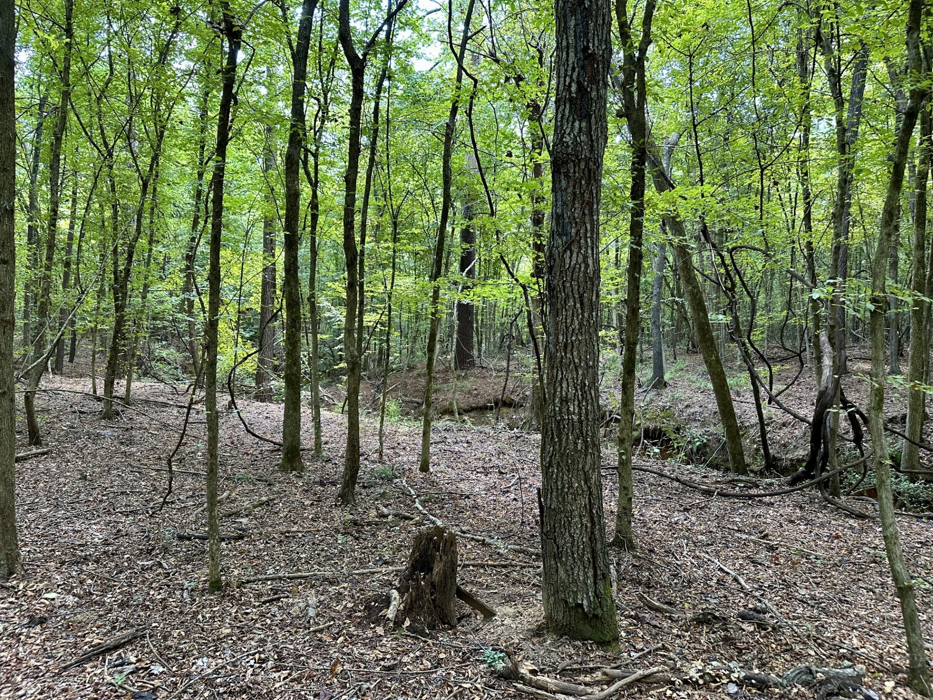 0 N/a Rusk, TX 75785 - Photo 4 of 10 a view of outdoor space