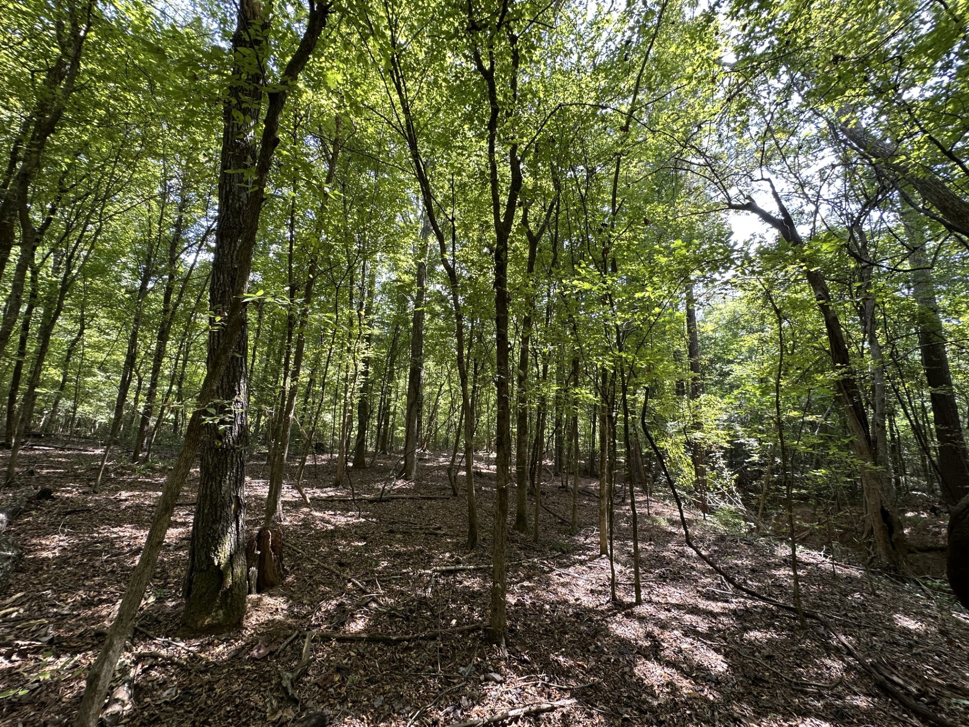 0 N/a Rusk, TX 75785 - Photo 6 of 10 a view of outdoor space and yard
