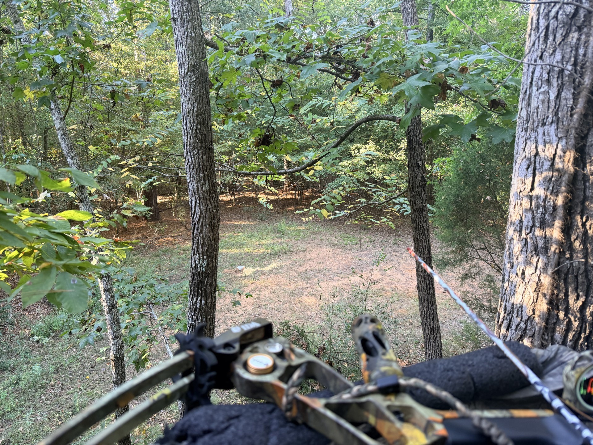 0 N/a Rusk, TX 75785 - Photo 7 of 10 a view of backyard with green space