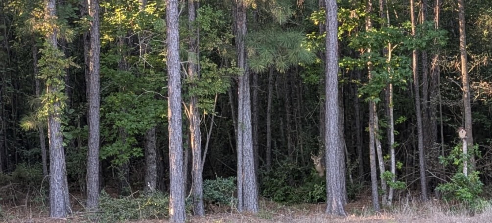 0 N/a Rusk, TX 75785 - Photo 10 of 10 a view of outdoor space and garden