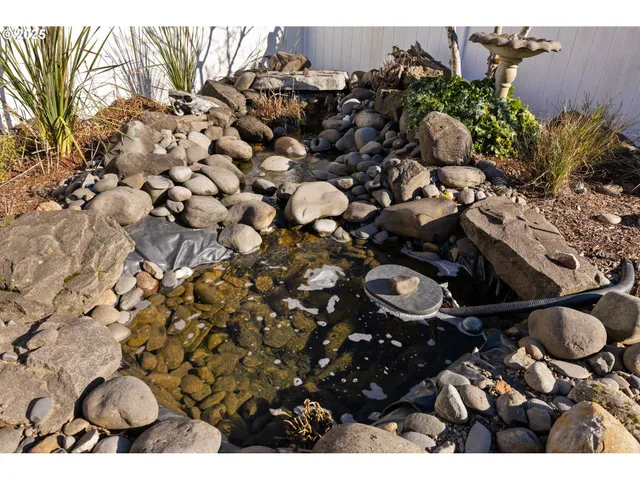 a view of a park with large trees