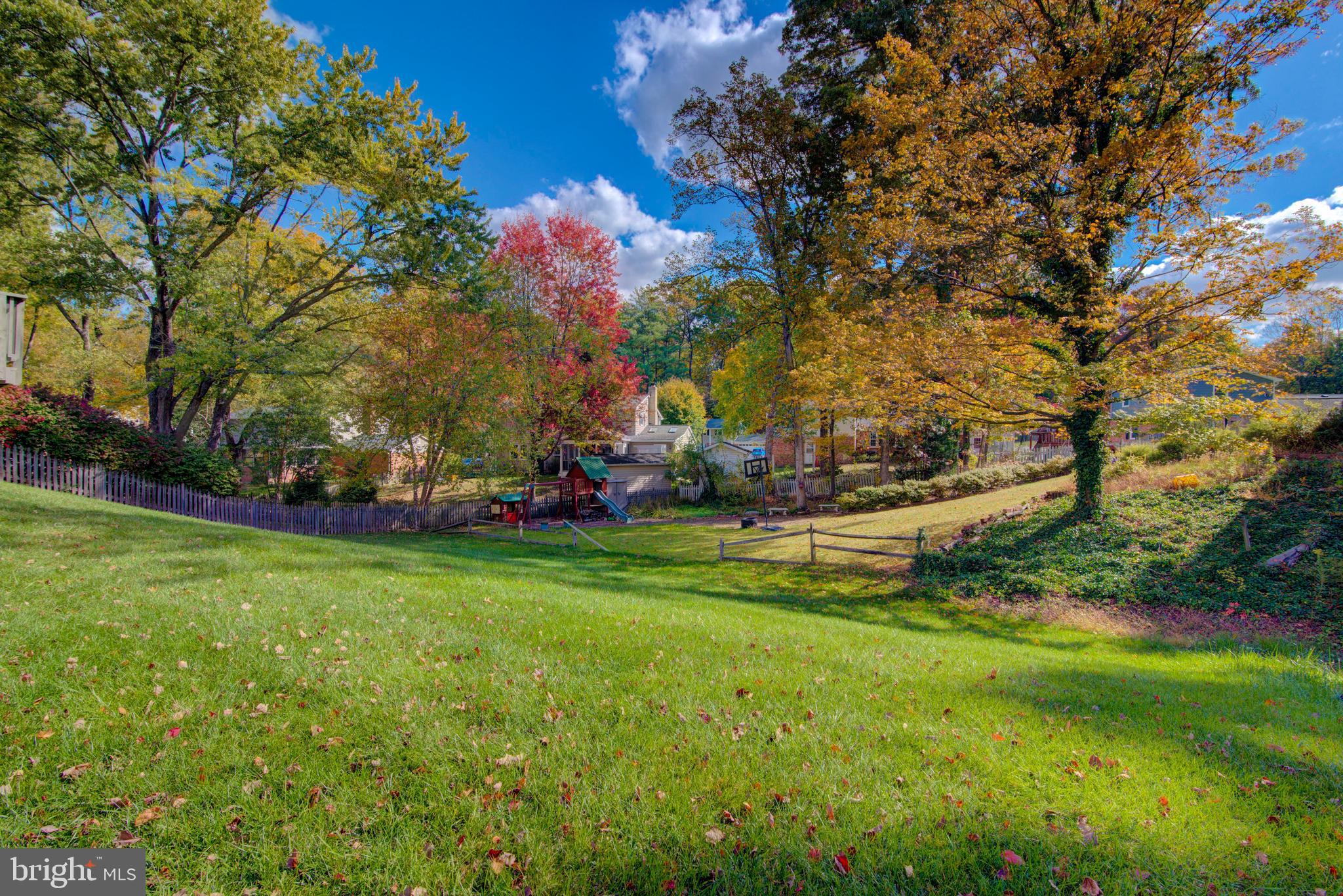 7411 Reservation Drive Springfield, VA 22153 - Photo 27 of 30 a view of a park with large trees