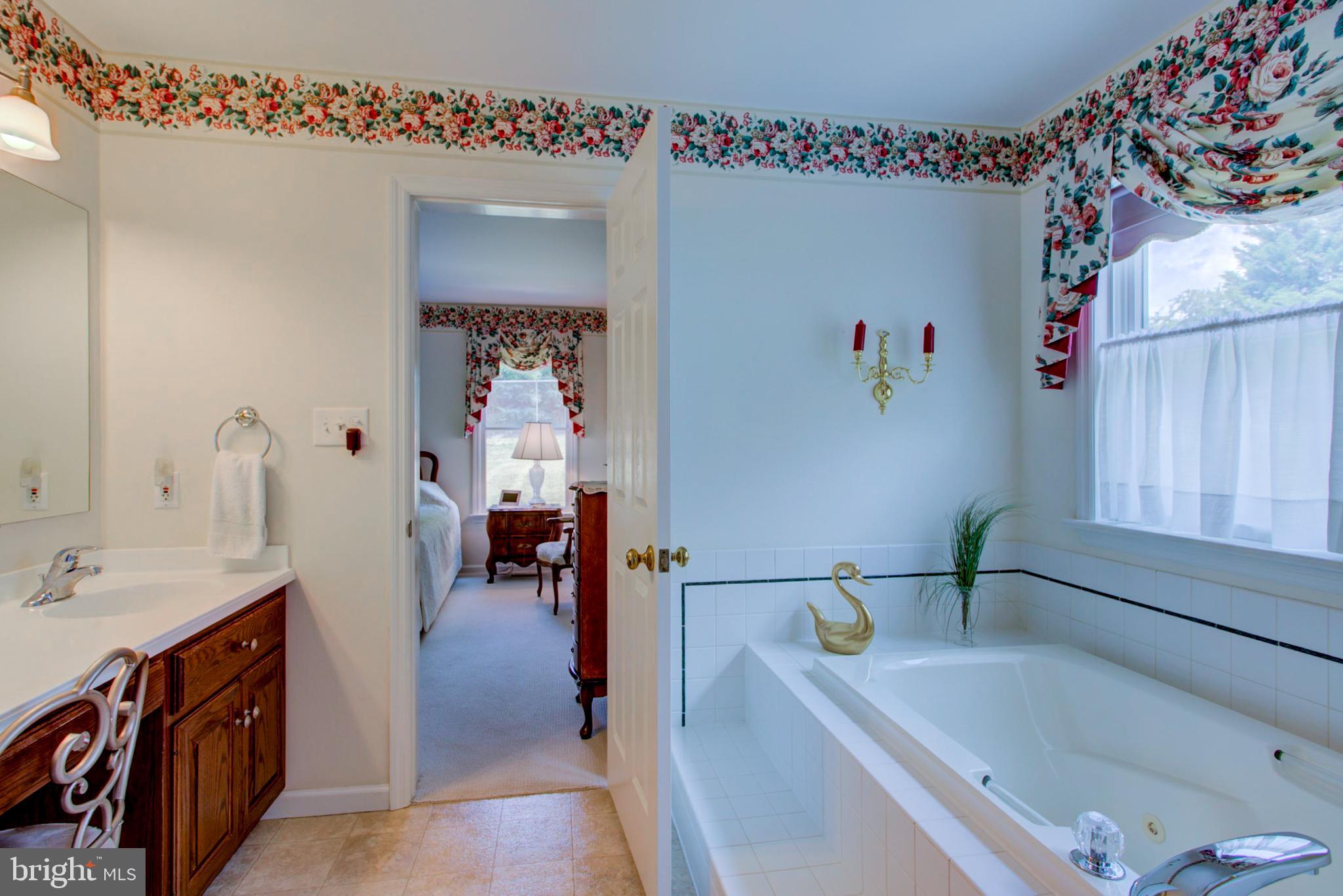 2041 Harrogate Road Lancaster, PA 17601 - Photo 26 of 46 a en suite bathroom with a sink and a large mirror