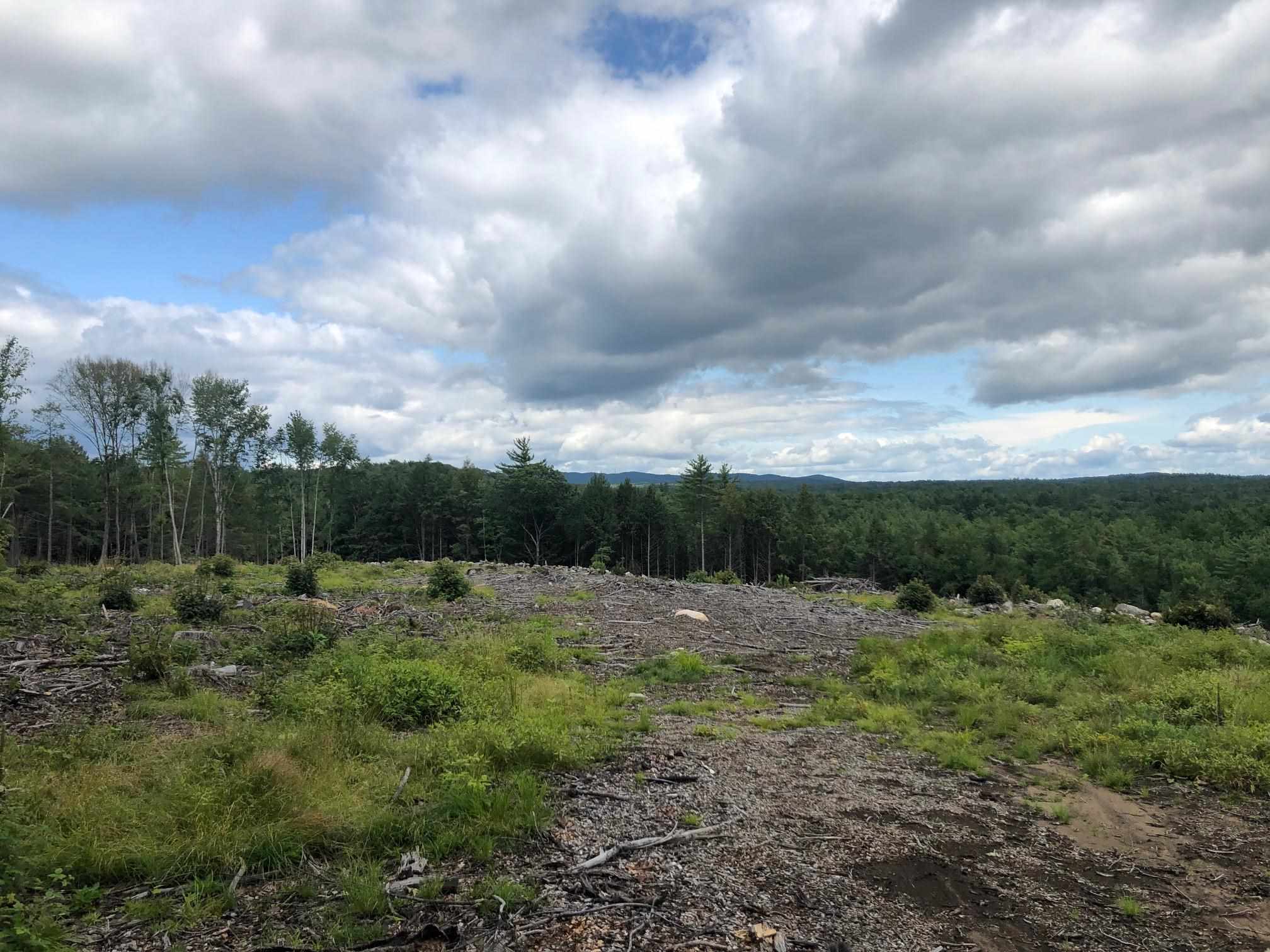 0 Flagg Road Loudon, NH 03307 - Photo 1 of 12