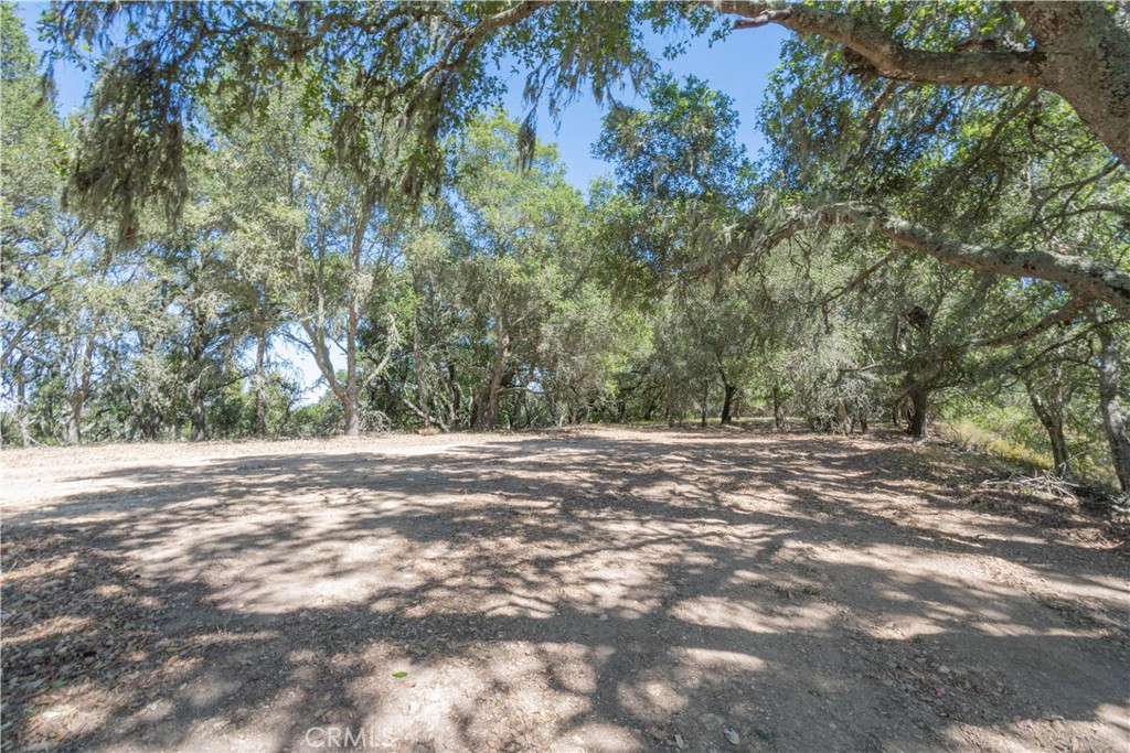 0 York Mountain Road Templeton, CA 93465 - Photo 23 of 41 a view of a yard with a tree