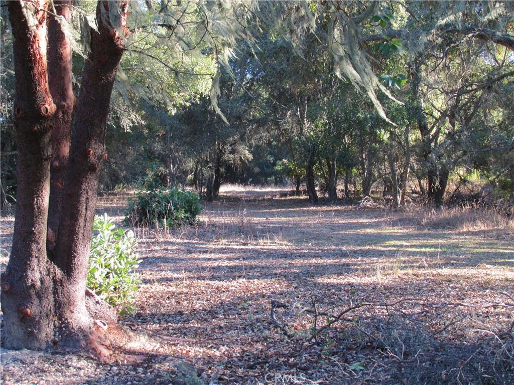 0 York Mountain Road Templeton, CA 93465 - Photo 30 of 41 a view of backyard with green space
