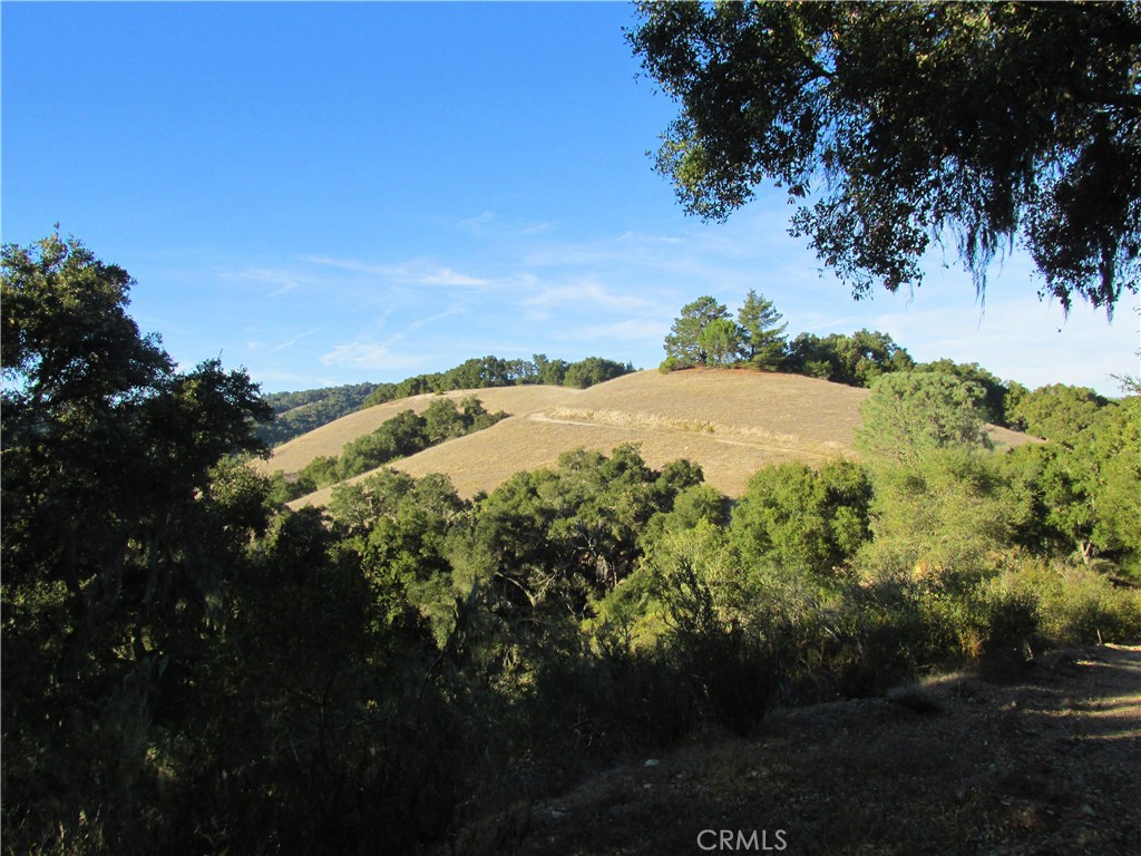 0 York Mountain Road Templeton, CA 93465 - Photo 3 of 41 a view of a backyard of the house