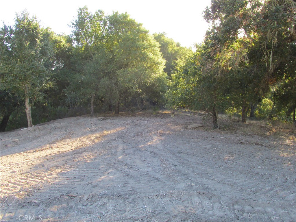 0 York Mountain Road Templeton, CA 93465 - Photo 31 of 41 a view of a forest with trees in the background