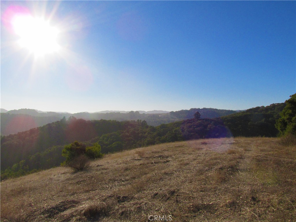 0 York Mountain Road Templeton, CA 93465 - Photo 35 of 41 a view of a dry yard with mountains in the background