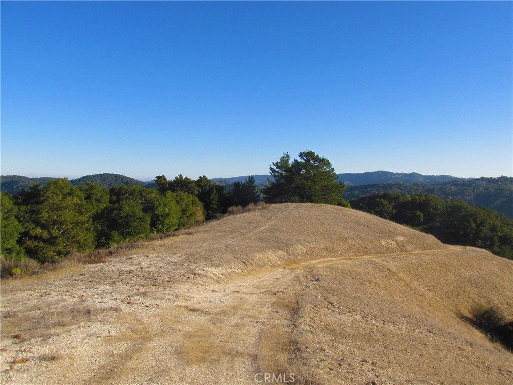 0 York Mountain Road Templeton, CA 93465 - Photo 37 of 41 a view of a dry yard with mountains in the background