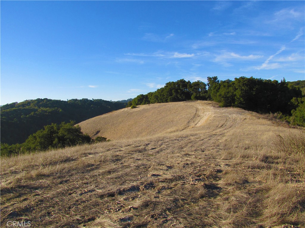 0 York Mountain Road Templeton, CA 93465 - Photo 38 of 41
