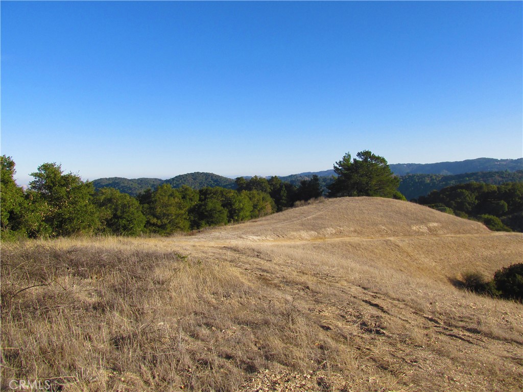 0 York Mountain Road Templeton, CA 93465 - Photo 41 of 41 a view of dirt field with trees in background