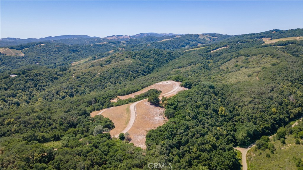 0 York Mountain Road Templeton, CA 93465 - Photo 7 of 41 a view of a forest with a mountain in the background