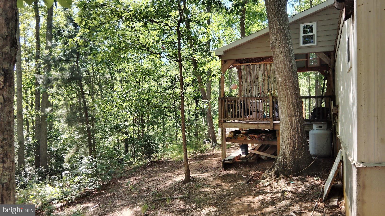 13025 Thunder Road King George, VA 22485 - Photo 6 of 34 Serene woodland retreat awaits you.