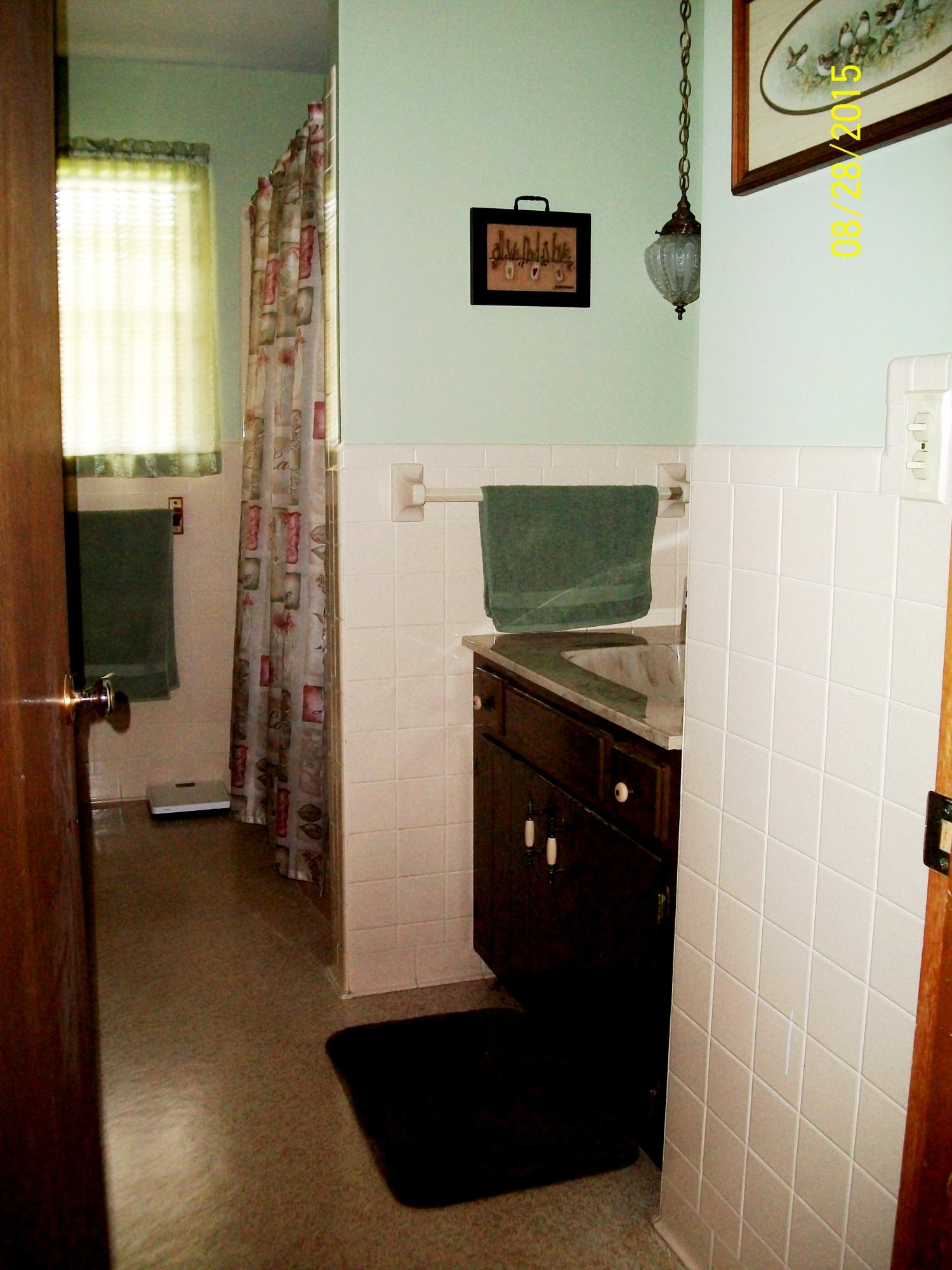 5418 Hutton Ridge Road Maryville, TN 37801 - Photo 15 of 29 Hall bathroom