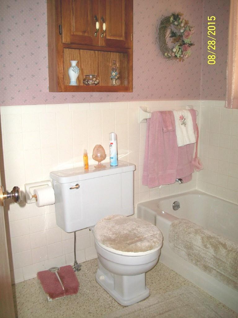5418 Hutton Ridge Road Maryville, TN 37801 - Photo 20 of 29 Master Bath