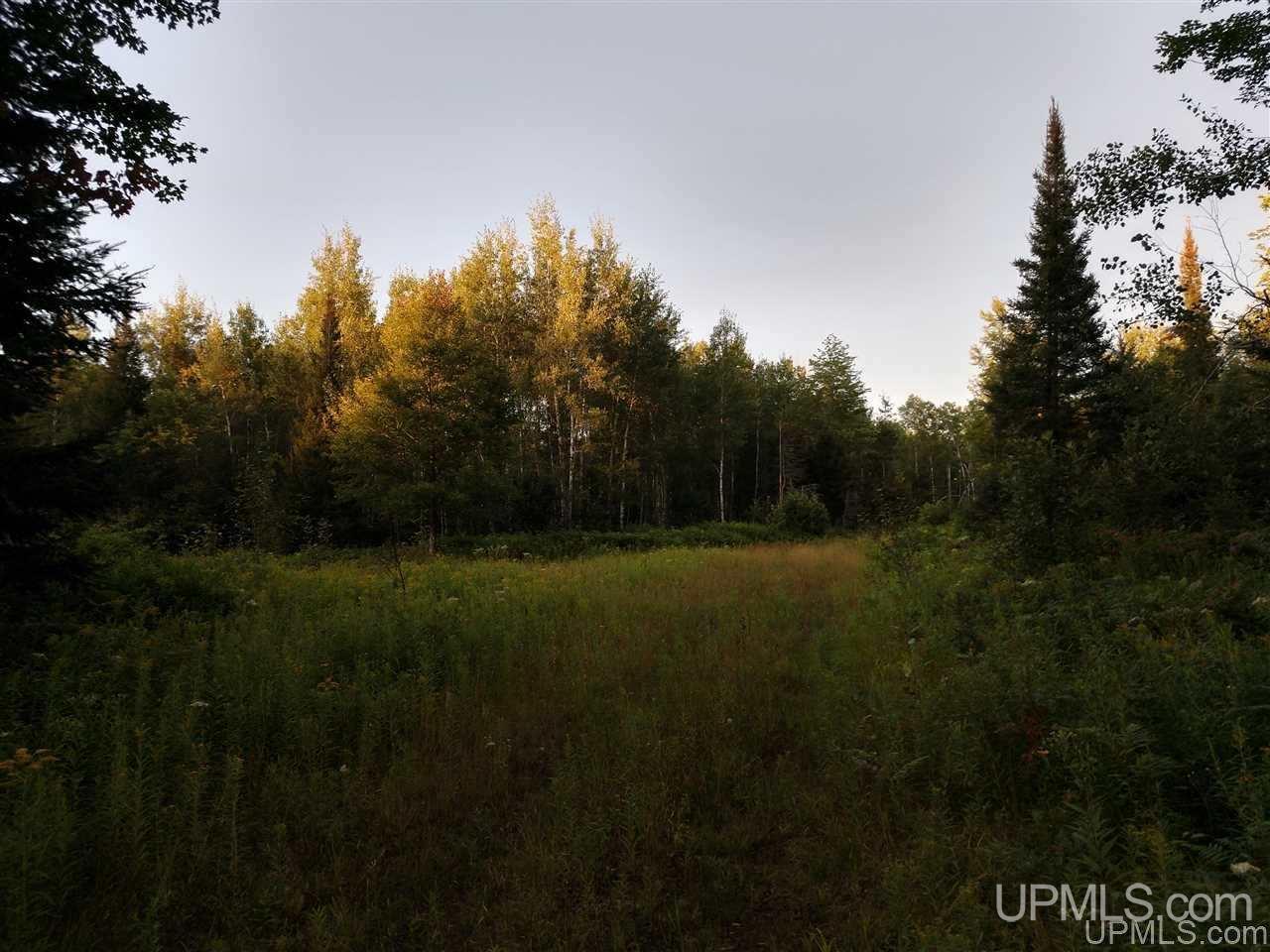 80-acres Old CC Road Vulcan, MI 49892 - Photo 13 of 24