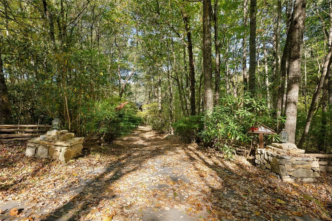 497 Tower Road Sapphire, NC 28774 - Photo 7 of 71 Gallery Image 7
