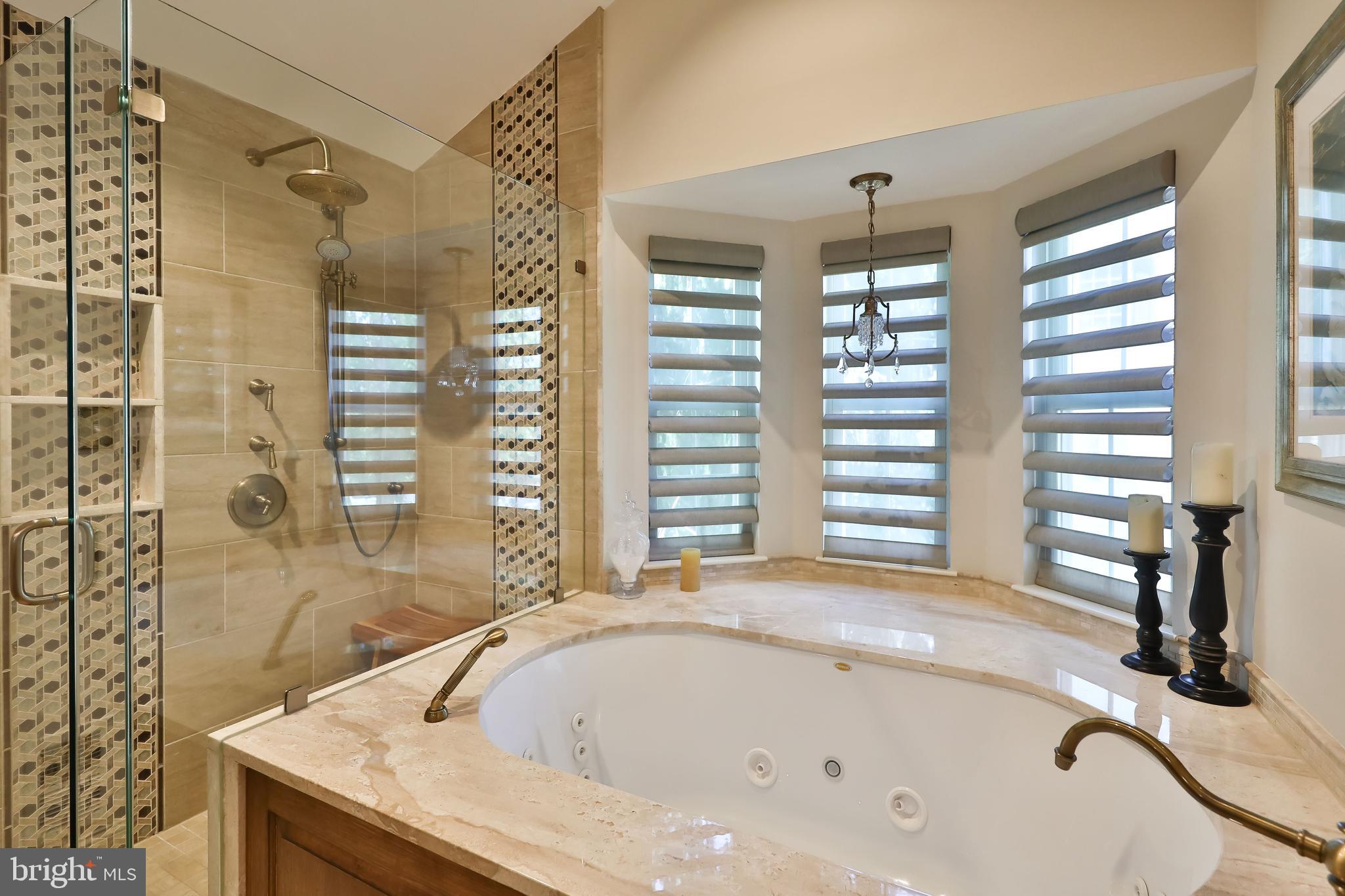 143 Timothy Circle Wayne, PA 19087 - Photo 18 of 35 Jetted Tub