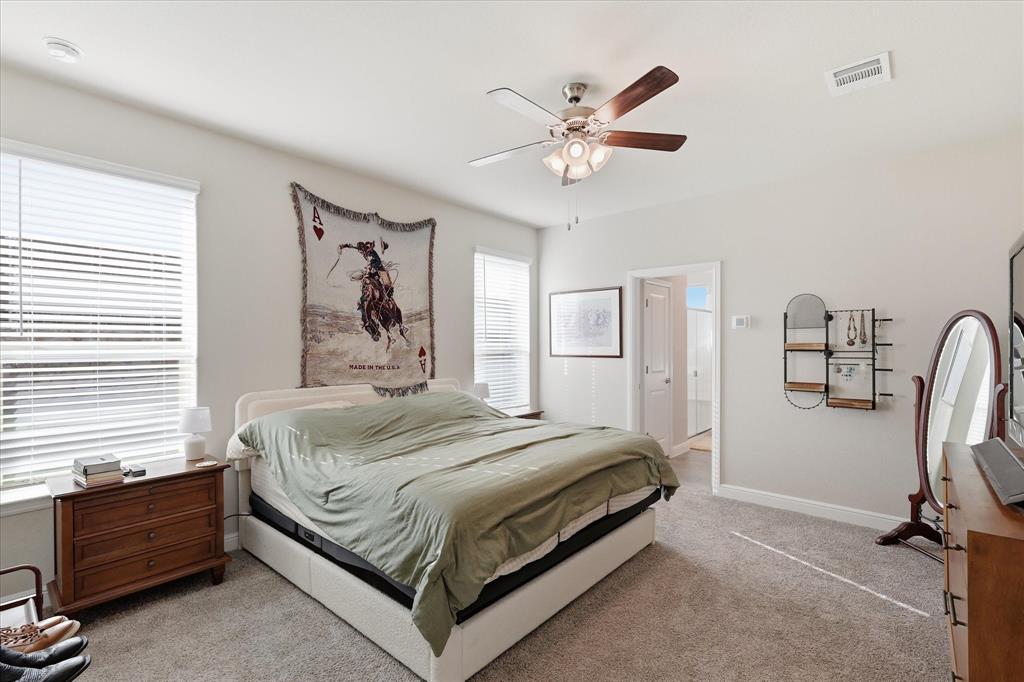 141 Medina Lane Rhome, TX 76078 - Photo 19 of 36 Bright bedroom with carpet flooring, multiple windows featuring blinds, and a ceiling fan