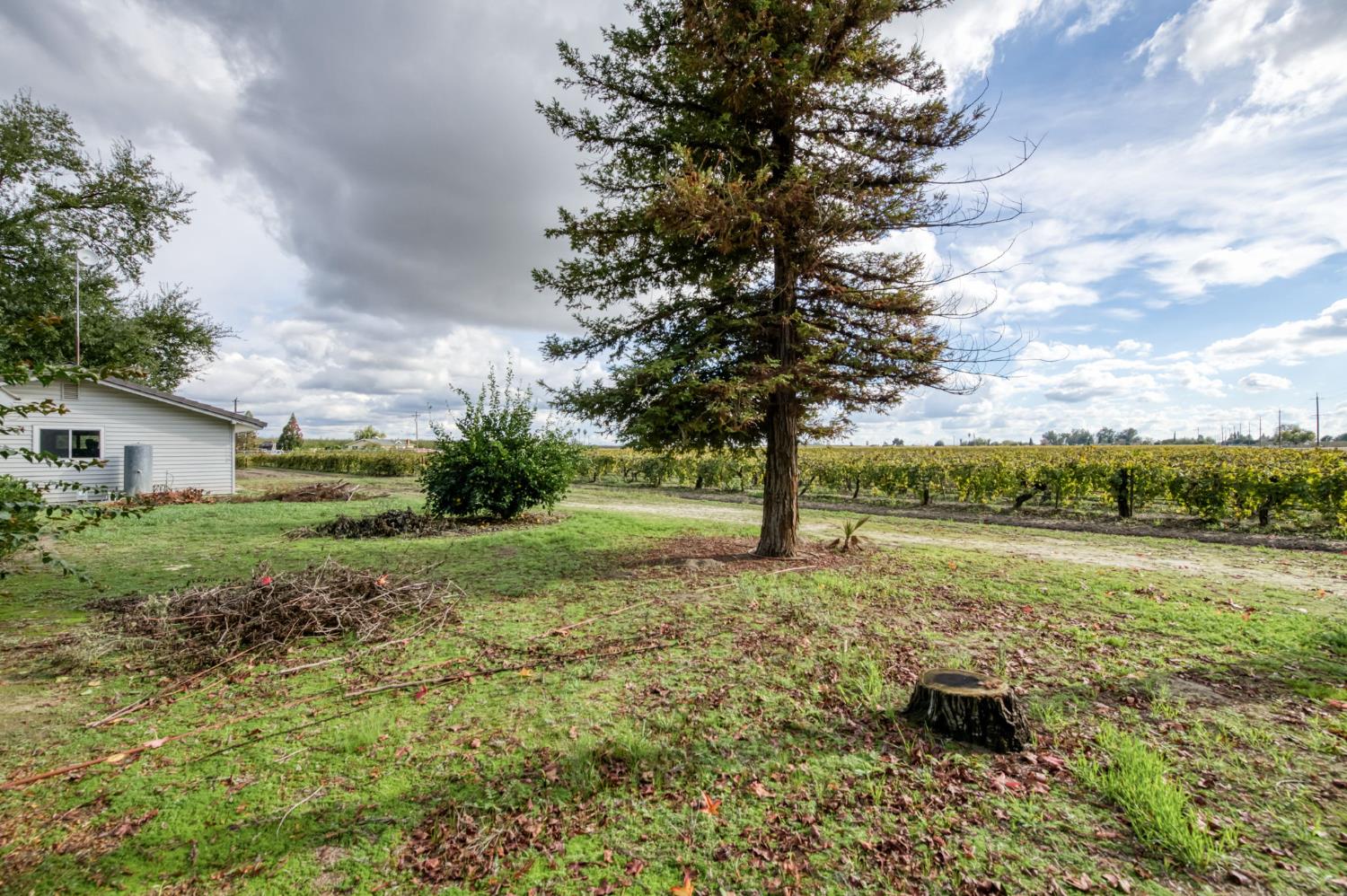 10477 South Henderson Road Fresno, CA 93706 - Photo 37 of 40