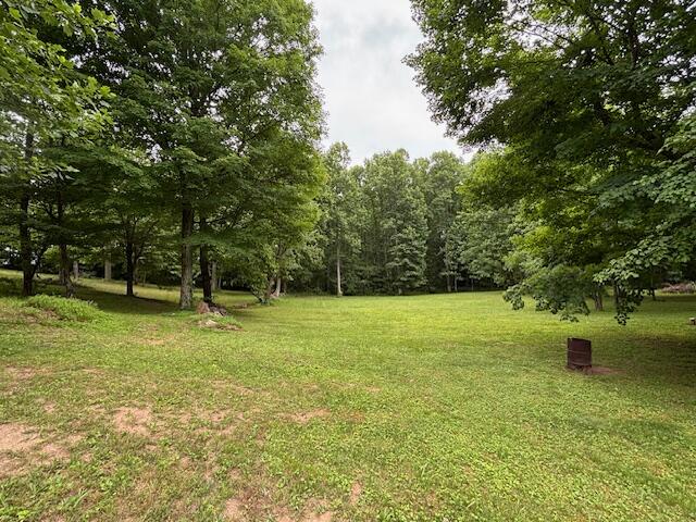 331 Briley Road Spring City, TN 37381 - Photo 8 of 32 IMG_0708