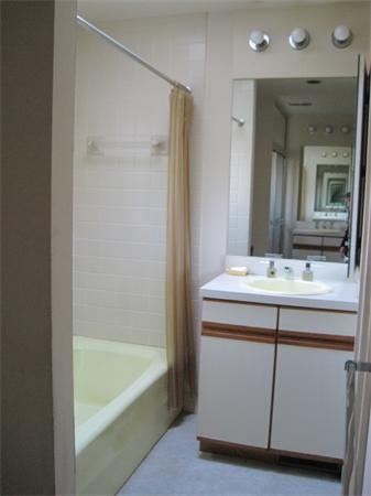 1018 Liberty Square Road Boxborough, MA 01719 - Photo 20 of 22 a bathroom with a sink and a bathtub