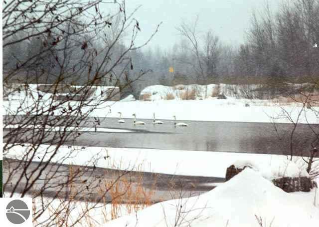 130 Fox Road Manton, MI 49663 - Photo 9 of 9 1670141-8.JPG