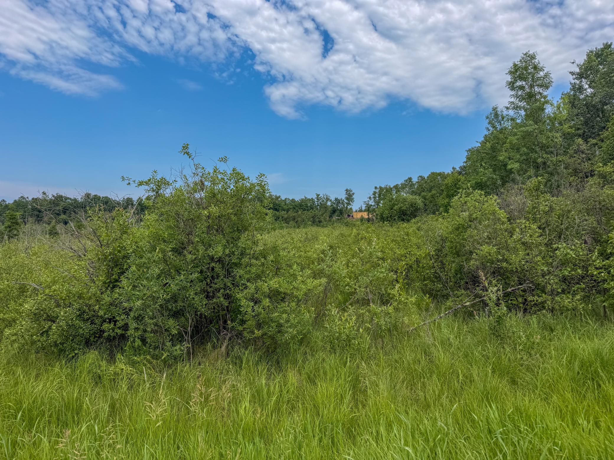 Tbd Grant Hills Road Southwest Bemidji, MN 56601 - Photo 10 of 27 Gallery Image 10