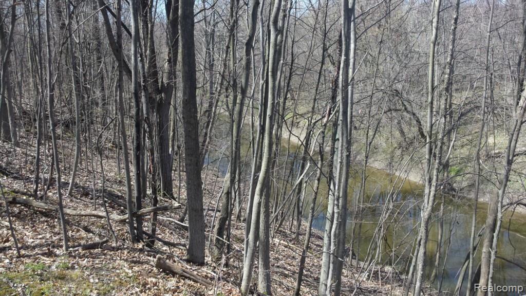 14814 Belle River Road Allenton, MI 48002 - Photo 1 of 17 Gallery Image 1