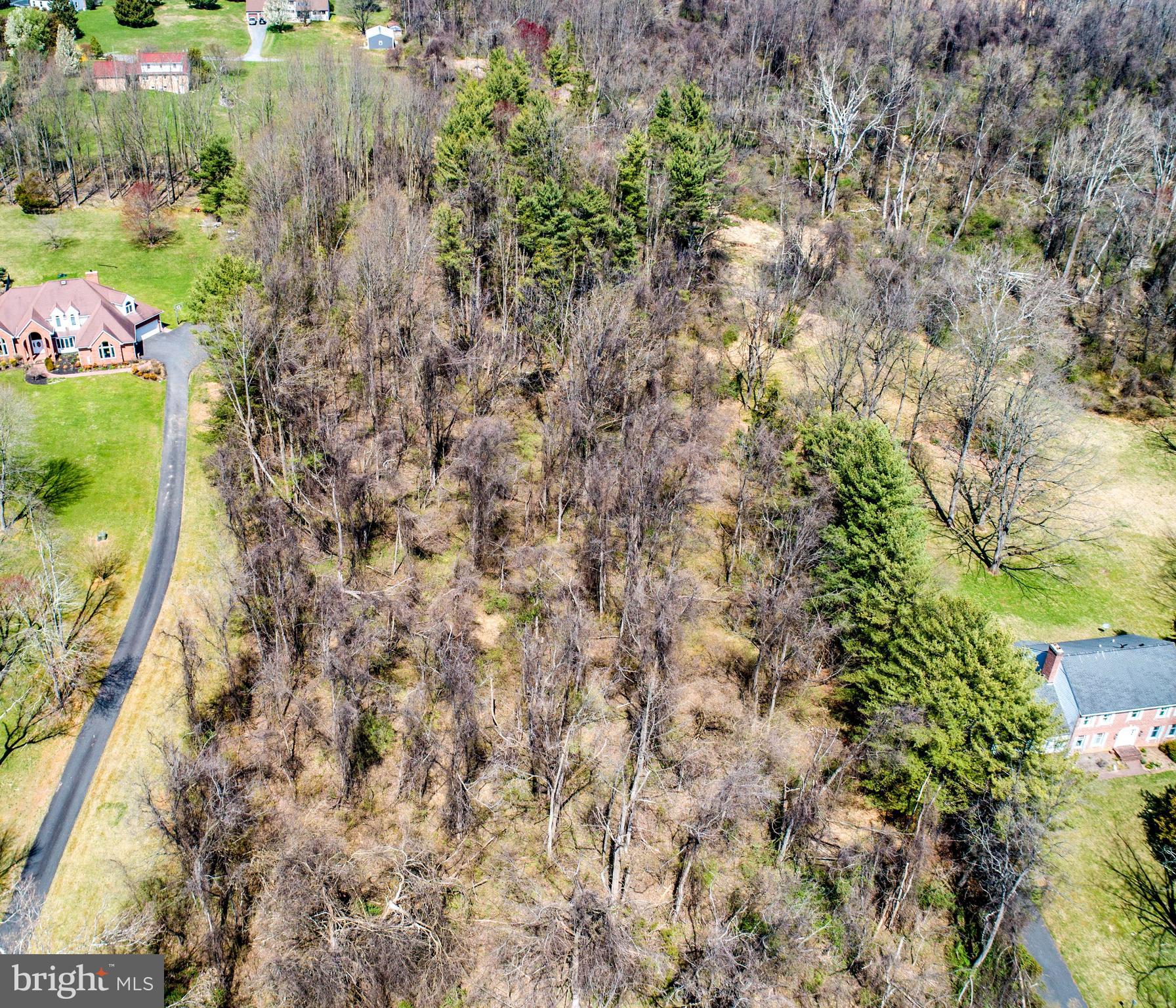 3040 Level Road Churchville, MD 21028 - Photo 2 of 23 Gallery Image 2