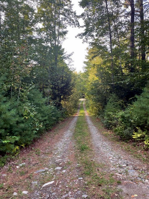 228 Country Club Road Oakland, ME 04963 - Photo 9 of 13 Private Lot