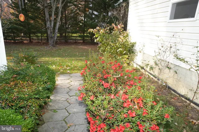 a view of yard with fountain