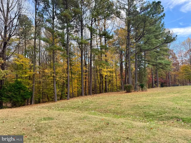 a big yard with trees in front of it