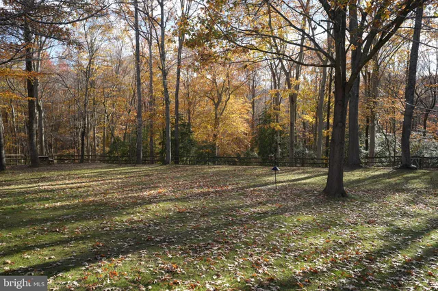 a view of outdoor space with trees