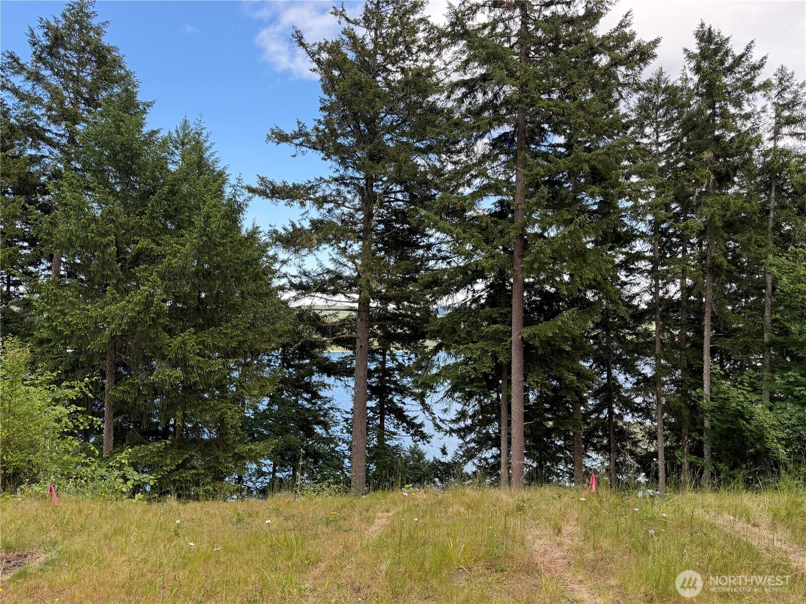 496 Last Camp Road Quilcene, WA 98376 - Photo 7 of 29