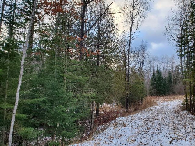 0 Sage Lake Road Lupton, MI 48635 - Photo 1 of 7