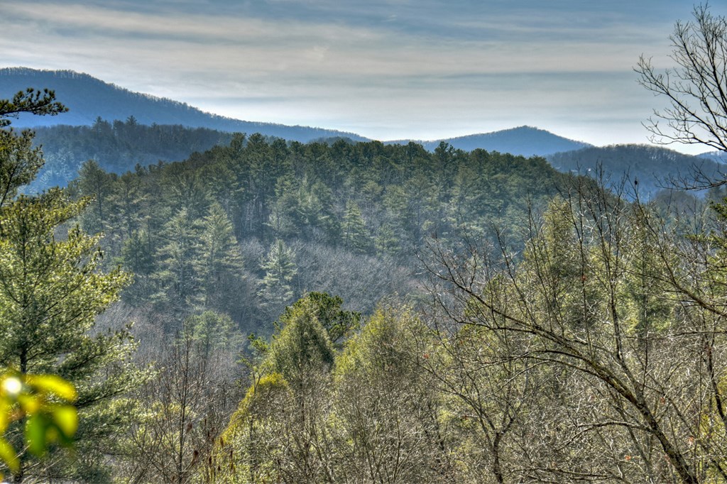 468 Conley Branch Road Blue Ridge, GA 30513 - Photo 20 of 20 Gallery Image 20
