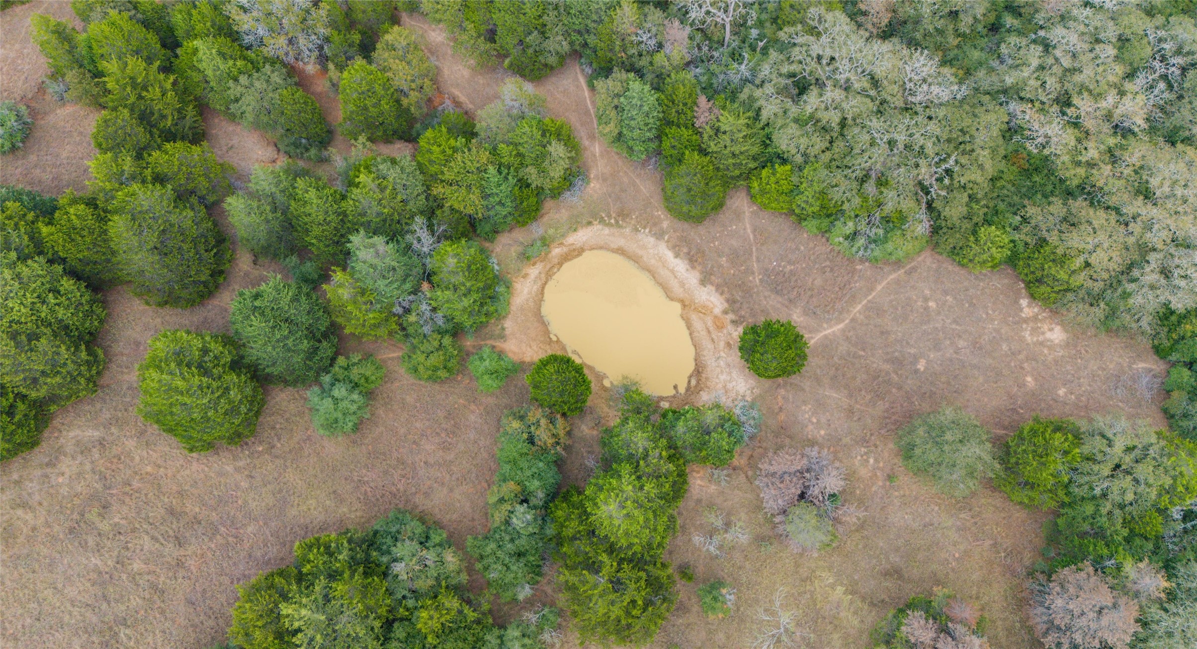 Tbd North County Road East, Unit 415 Lexington, TX 78947 - Photo 14 of 14