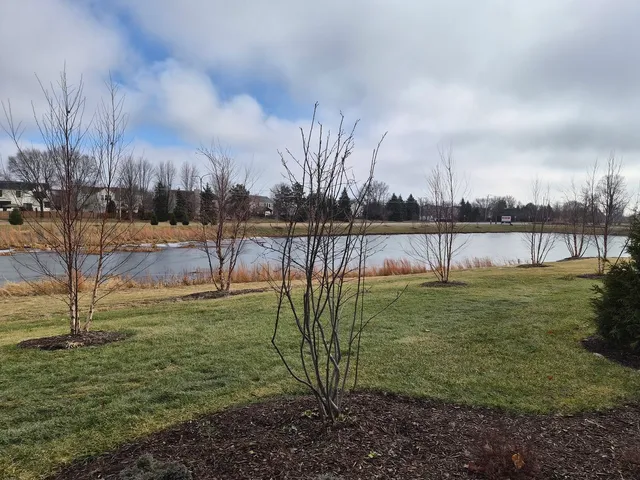 $3,200 | 24412 West Alexis Lane, Unit 54429, Plainfield, IL 60585