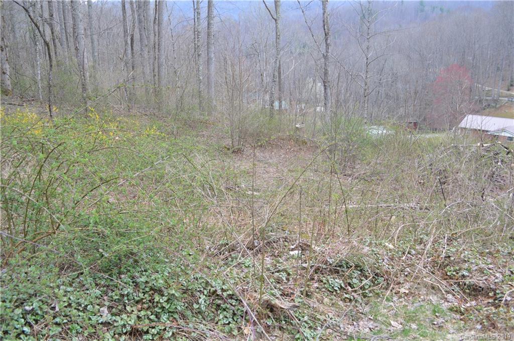 3463 Dark Ridge Road Sylva, NC 28779 - Photo 21 of 36 Gallery Image 21