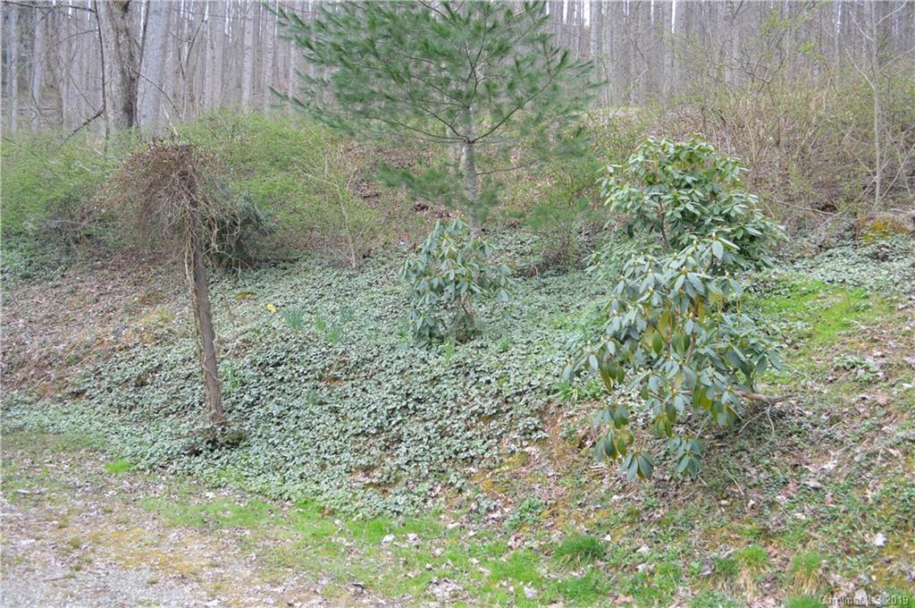 3463 Dark Ridge Road Sylva, NC 28779 - Photo 23 of 36 Gallery Image 23